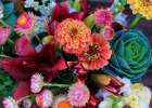 USA, Indiana, Fishers. A bouquet of colorful flowers. Art Print